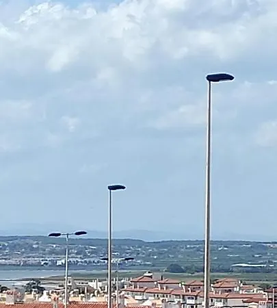 Zeus * Torrevieja